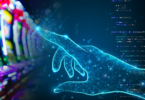 Casino Platform User Experience